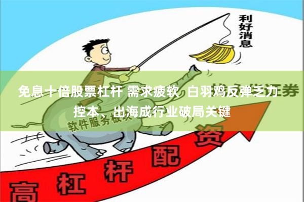 免息十倍股票杠杆 需求疲软  白羽鸡反弹乏力  控本、出海成行业破局关键