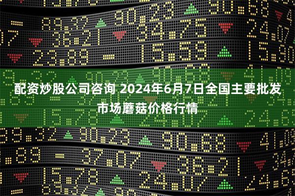 配资炒股公司咨询 2024年6月7日全国主要批发市场蘑菇价格行情