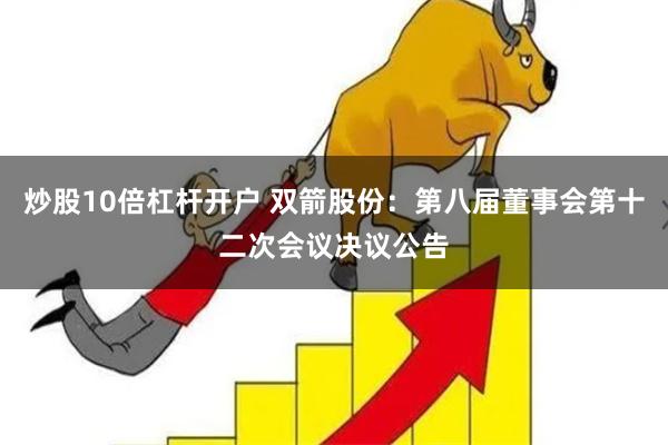 炒股10倍杠杆开户 双箭股份：第八届董事会第十二次会议决议公告