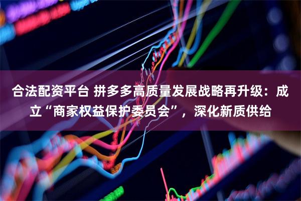 合法配资平台 拼多多高质量发展战略再升级：成立“商家权益保护委员会”，深化新质供给