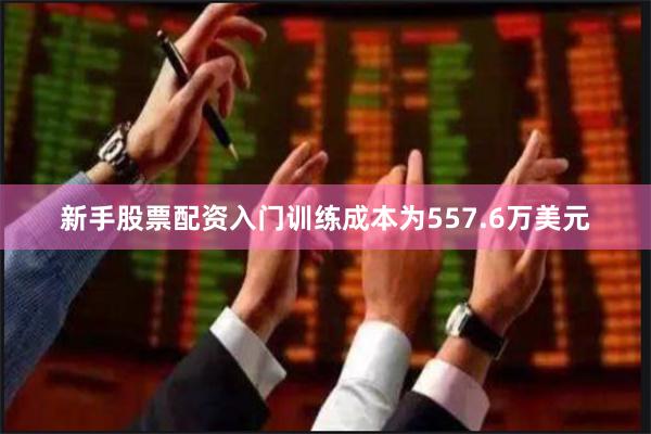 新手股票配资入门训练成本为557.6万美元