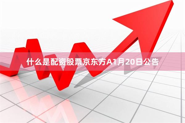 什么是配资股票京东方A1月20日公告